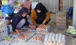 Sepekan Ini Harga Telur Naik dari 18 Hingga Mencapai 22 Ribu Per Kilo