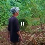 Screenshot_20230510-133420_WhatsApp