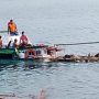 Kapal Tenggelam, puluhan sapi Mati Terikat Di Dalam Kapal