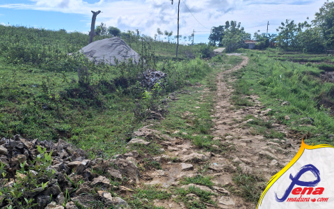 Kondisi Jalan Di Dusun Tetean Bungkok Kolo-Kolo