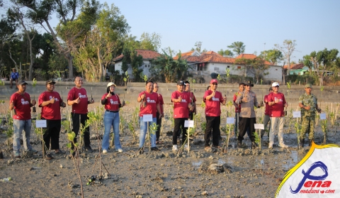 Pantai Matahari Jadi Sasaran, JMSI Sumenep Tanam 1.500 Mangrove